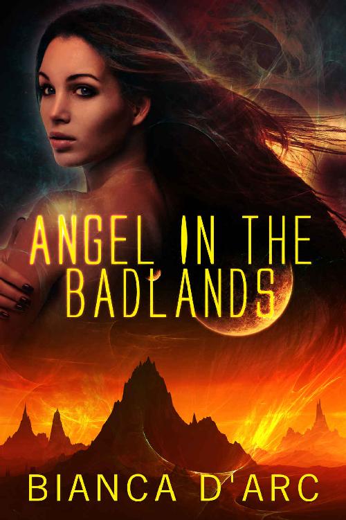Angel in the Badlands: space opera sci fi romance (Sons of Amber Book 1) by Bianca D'Arc