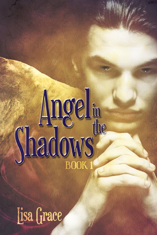 Angel in the Shadows, Book 1 by Lisa Grace (Angel Series) by Lisa Grace