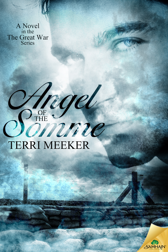 Angel of the Somme: The Great War, Book 1 (2015) by Terri Meeker