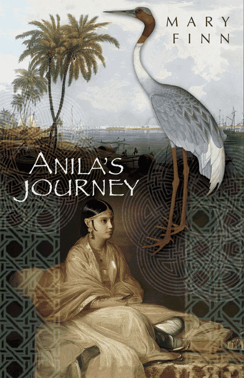 Anila's Journey (2011) by Mary Finn