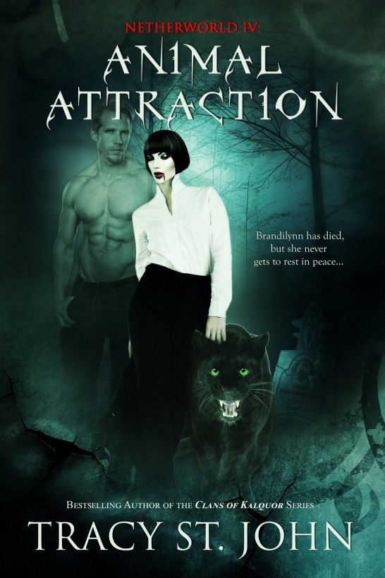Animal Attraction by Tracy St. John