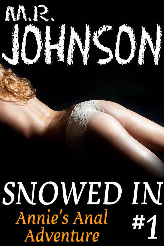 Annie's Anal Adventure (Snowed In, #1) by M.R. Johnson