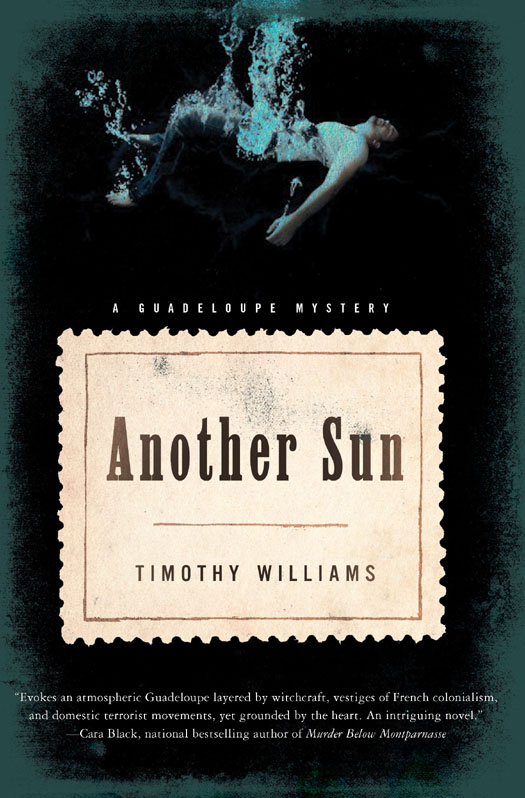 Another Sun (2013) by Timothy Williams