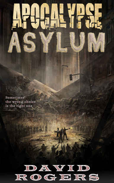 Apocalypse Atlanta (Book 4): Apocalypse Asylum by Rogers, David