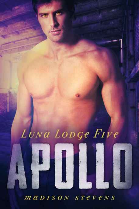 Apollo by Madison Stevens