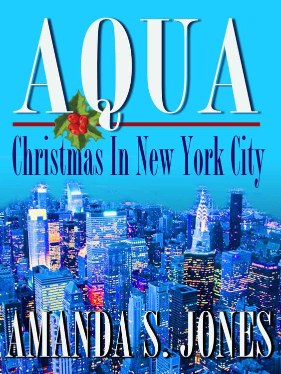 Aqua - Christmas in New York City (Aqua Romance Travel Series) by S. Jones, Amanda