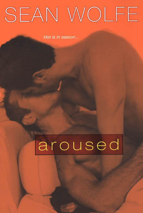 Aroused (2012) by Wolfe, Sean