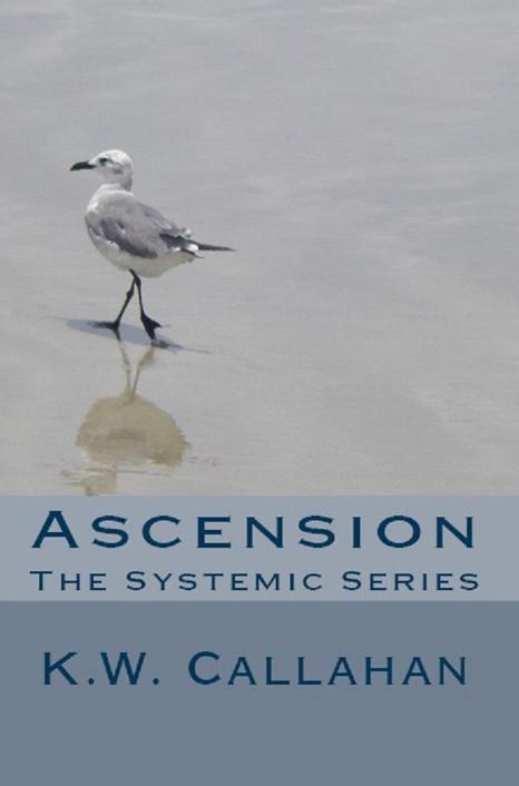 ASCENSION: THE SYSTEMIC SERIES