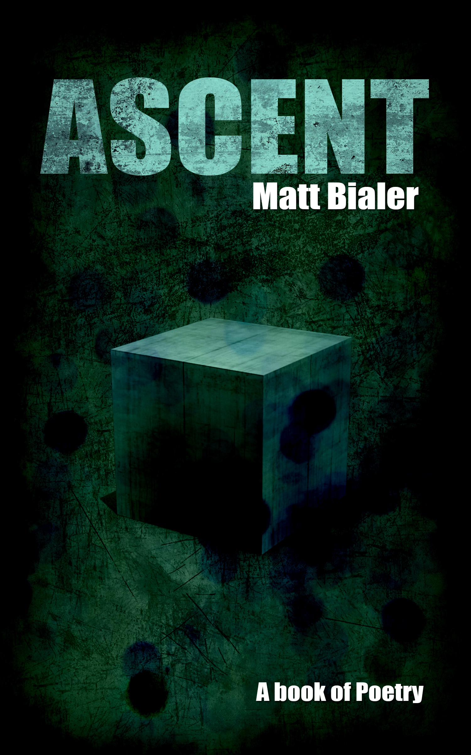 Ascent (2014) by Matt Bialer