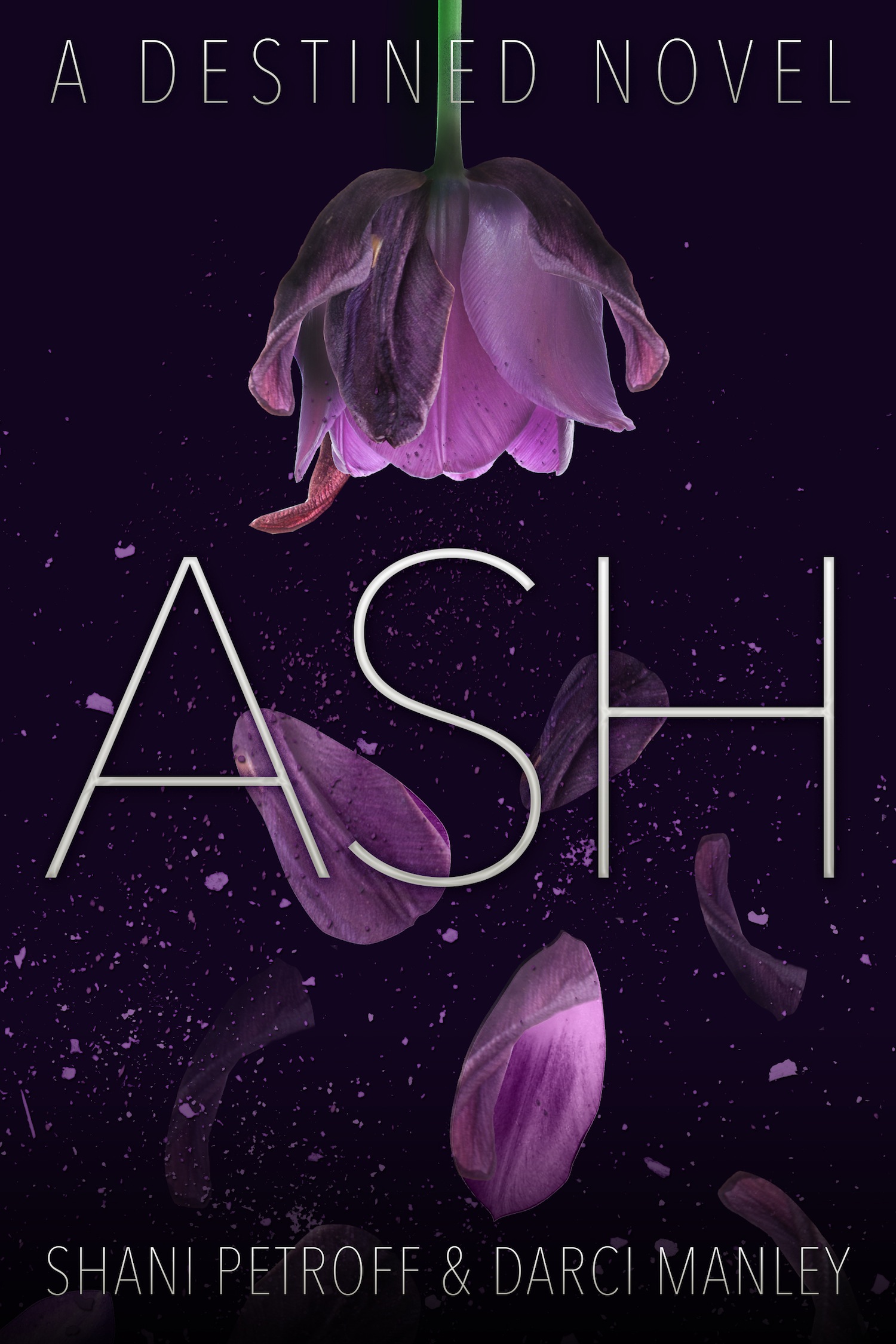 Ash (2015) by Shani Petroff