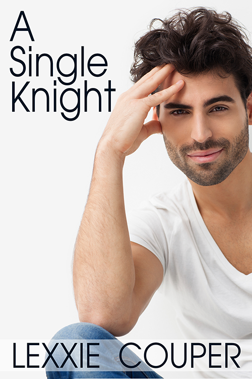 ASingleKnightNook (2013) by Lexxie Couper