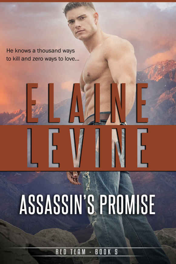 Assassin's Promise, The Red Team Series, Book 5 by Elaine Levine