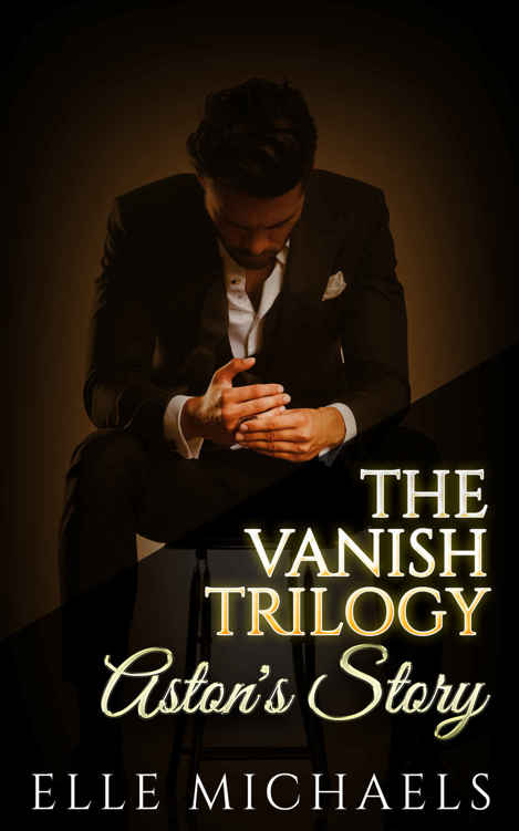 Aston's Story (Vanish #2) by Elle Michaels