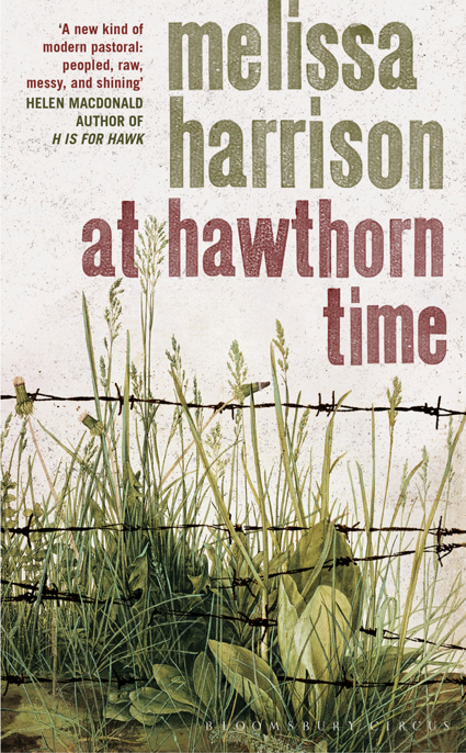 At Hawthorn Time by Melissa Harrison