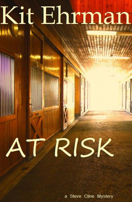 At Risk by Kit Ehrman