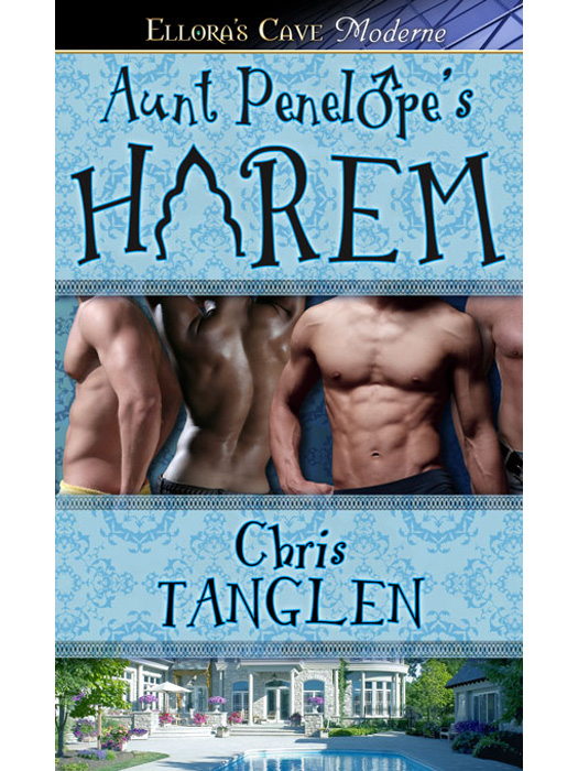 Aunt Penelope's Harem (2013) by Chris Tanglen