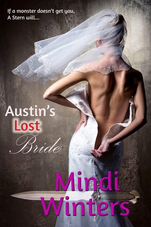 Austin's Lost Bride (The Sterns) by Winters, Mindi