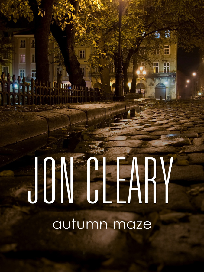 Autumn Maze (2013) by Jon Cleary