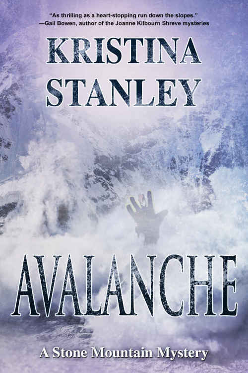 Avalanche (A Stone Mountain Mystery Book 3)