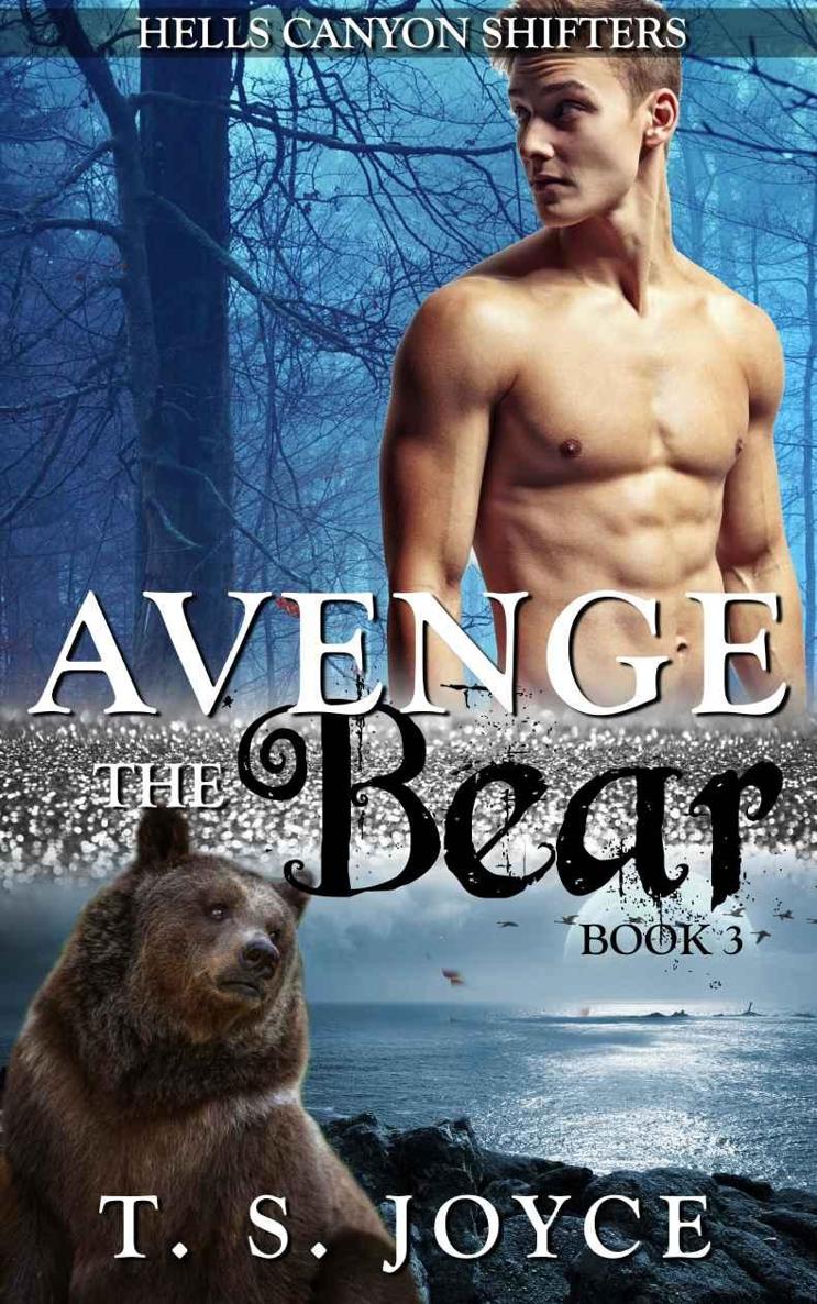 Avenge the Bear by T. S. Joyce