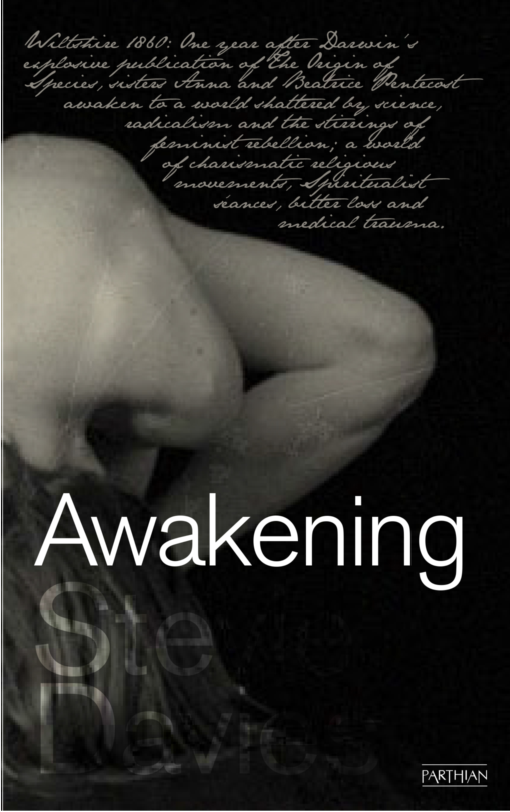 Awakening (2013) by Stevie Davies