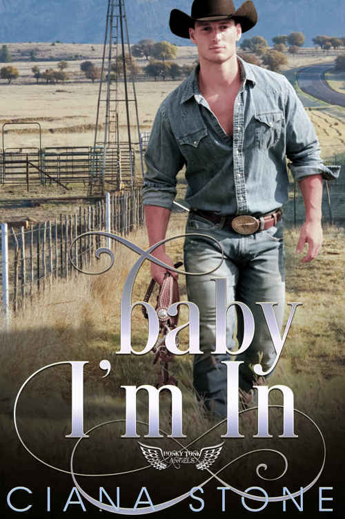 Baby I'm In (Honky Tonk Angels #3)