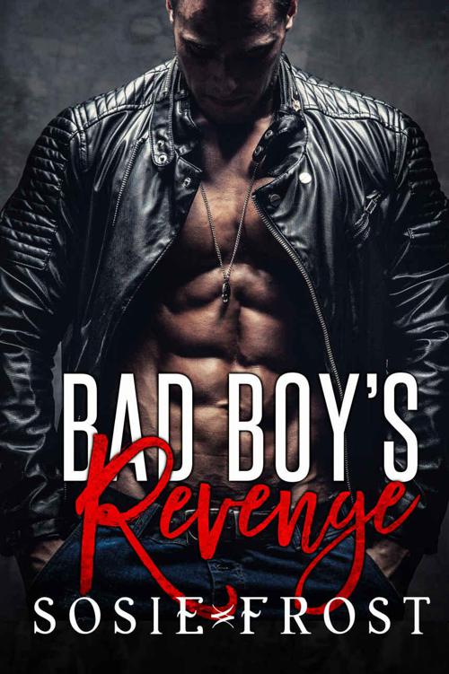 Bad Boy's Revenge: A Small-Town Romantic Suspense by Frost, Sosie