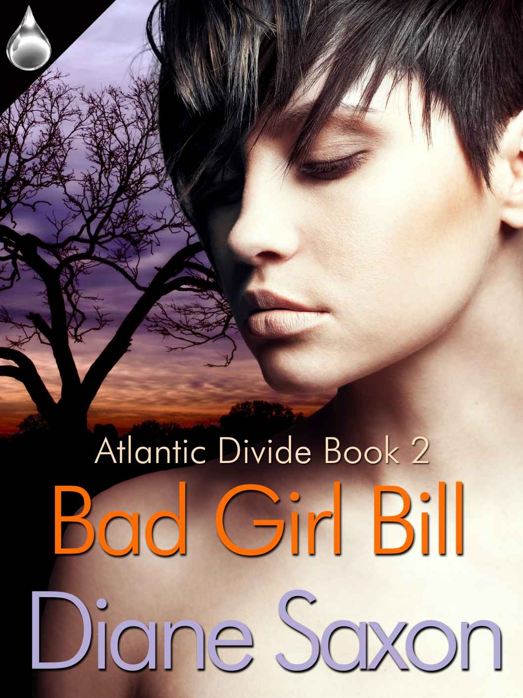 Bad Girl Bill (Atlantic Divide) by Diane Saxon