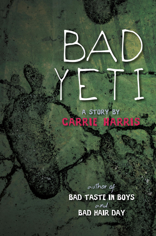 Bad Yeti (2012) by Carrie Harris