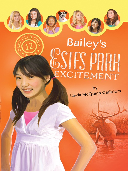 Bailey’s Estes Park Excitement (2010) by Linda McQuinn Carlblom