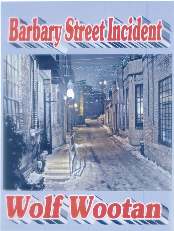 Barbary Street Incident, A John Cronin Private Eye Short Story by Wolf Wootan