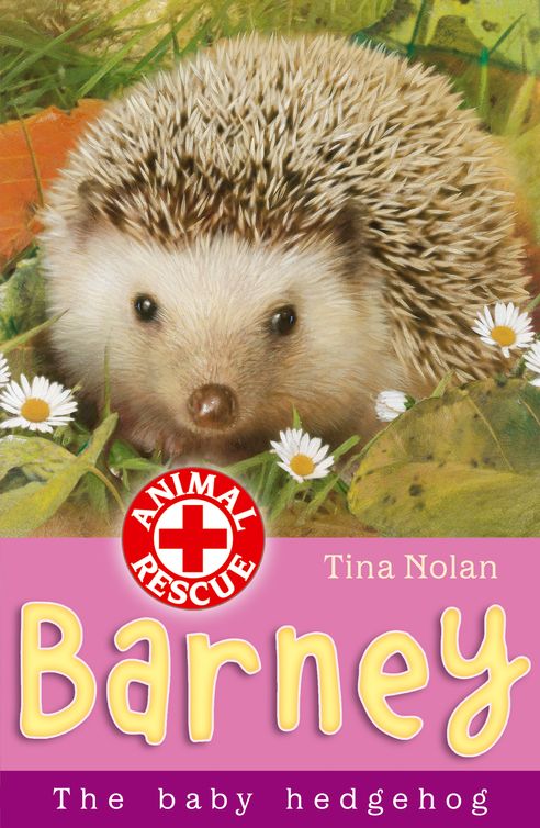 Barney the Baby Hedgehog (2012) by Tina Nolan