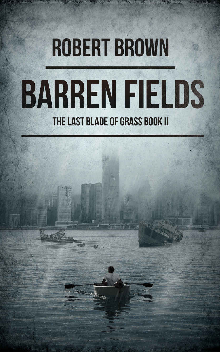 Barren Fields by Robert Brown