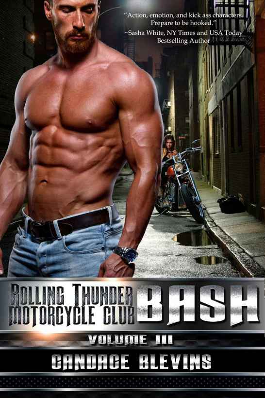 Bash, Volume III by Candace Blevins