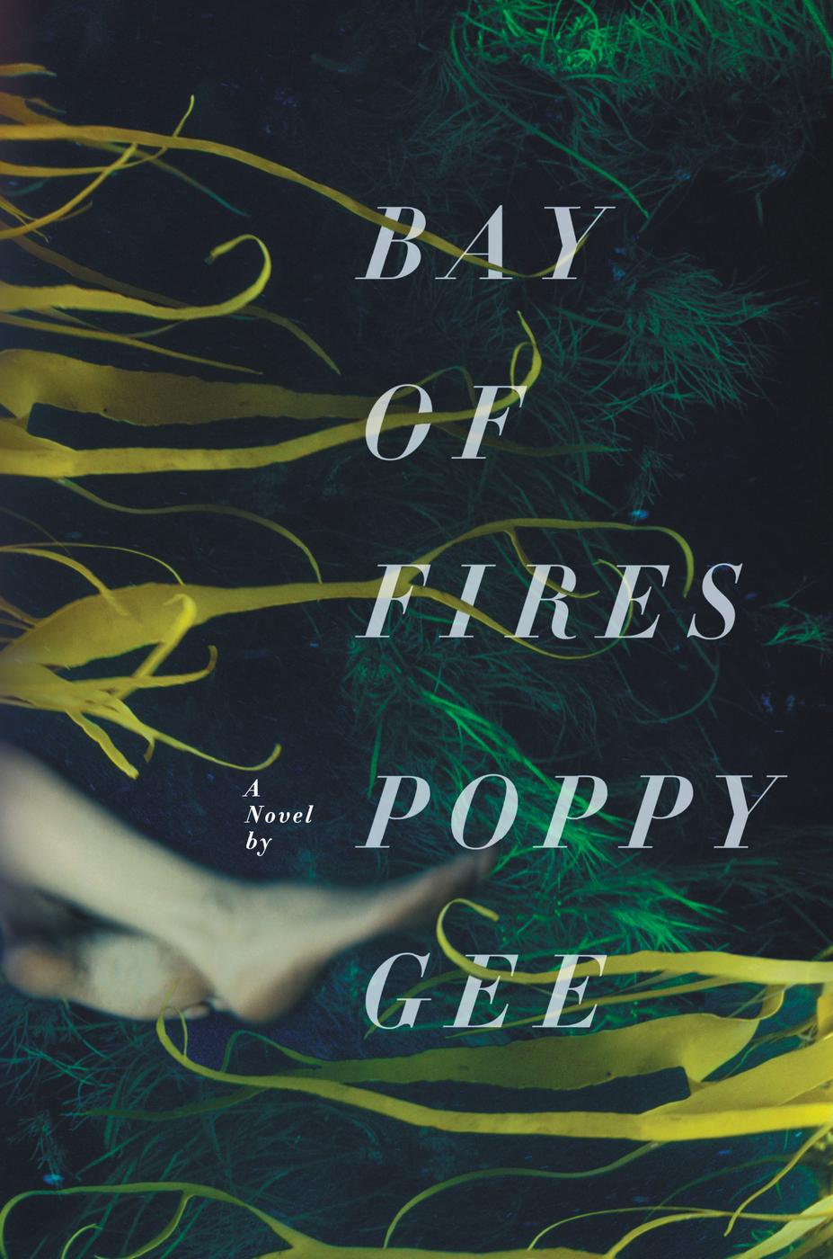 Bay of Fires (2013) by Poppy Gee