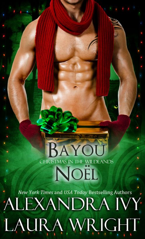 BAYOU NOËL by Laura Wright