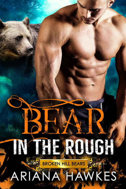 Bear in the Rough: Bear Shifter Romance (Broken Hill Bears Book 1)