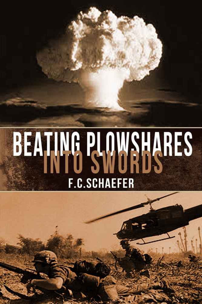 Beating Plowshares Into Swords: An Alternate History of the Vietnam War by Schaefer, F. C.