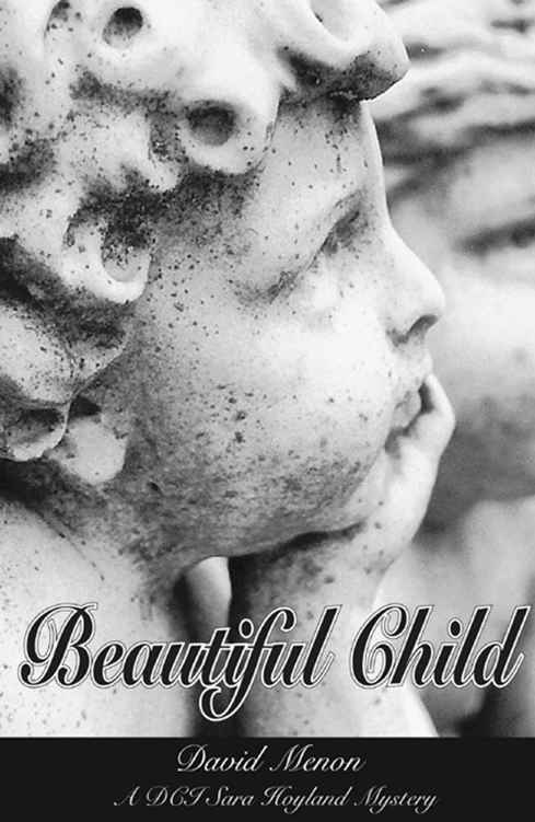 Beautiful Child by Menon, David