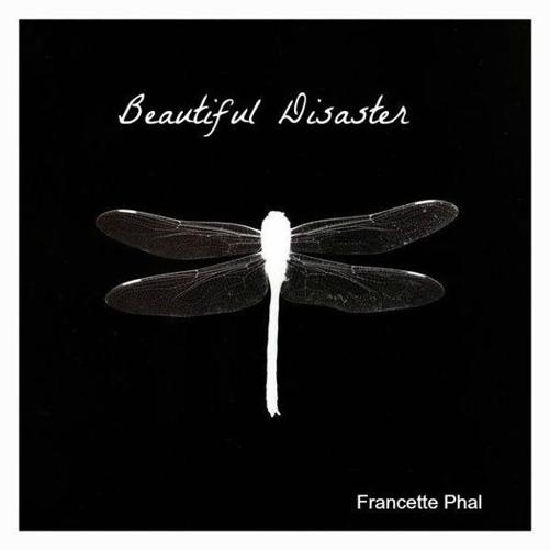 Beautiful Disaster (The Bet) by Phal, Francette