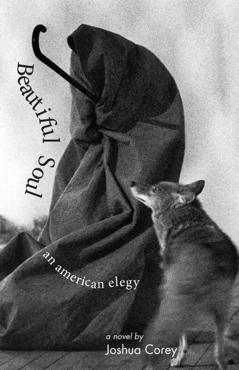 Beautiful Soul: An American Elegy by Joshua Corey