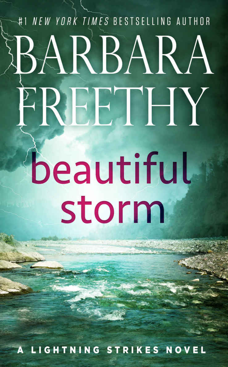 Beautiful Storm (Lightning Strikes Book 1) by Barbara Freethy