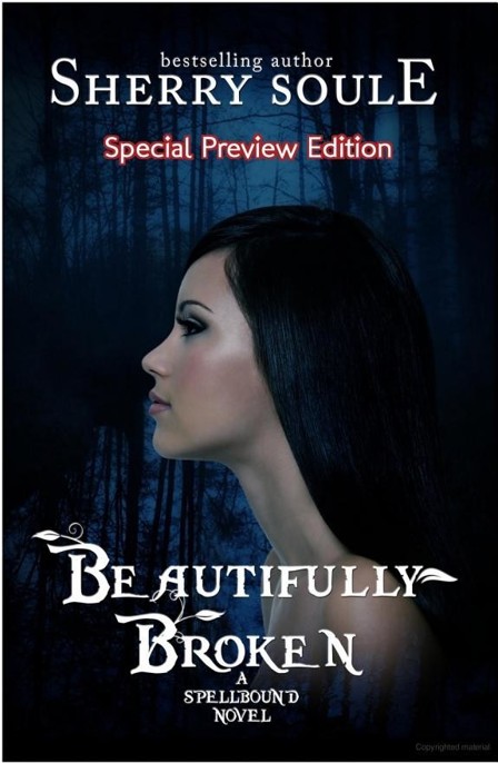 Beautifully Broken by Sherry Soule