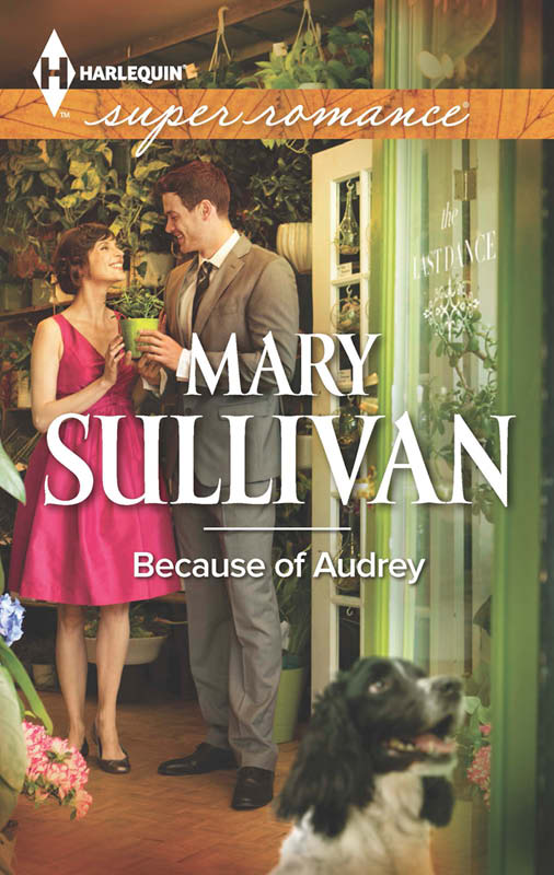 Because of Audrey (2013) by Mary  Sullivan