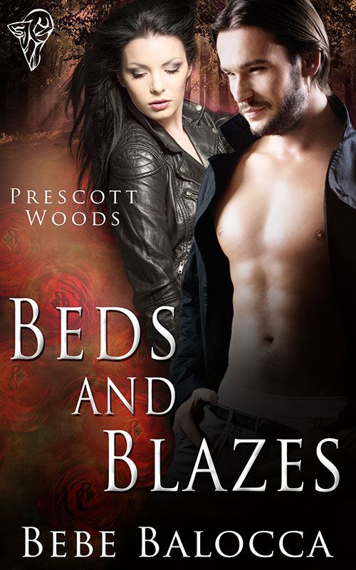 Beds and Blazes (2013) by Bebe Balocca