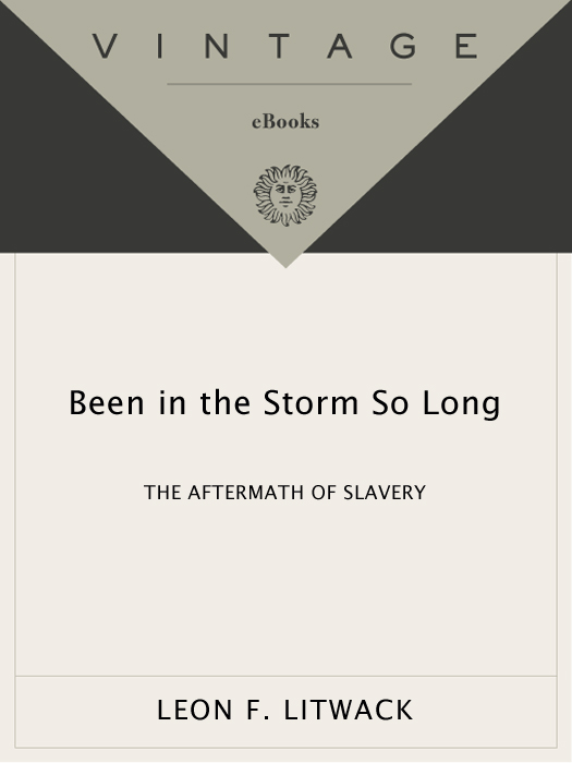 Been in the Storm So Long (2010) by Leon F. Litwack