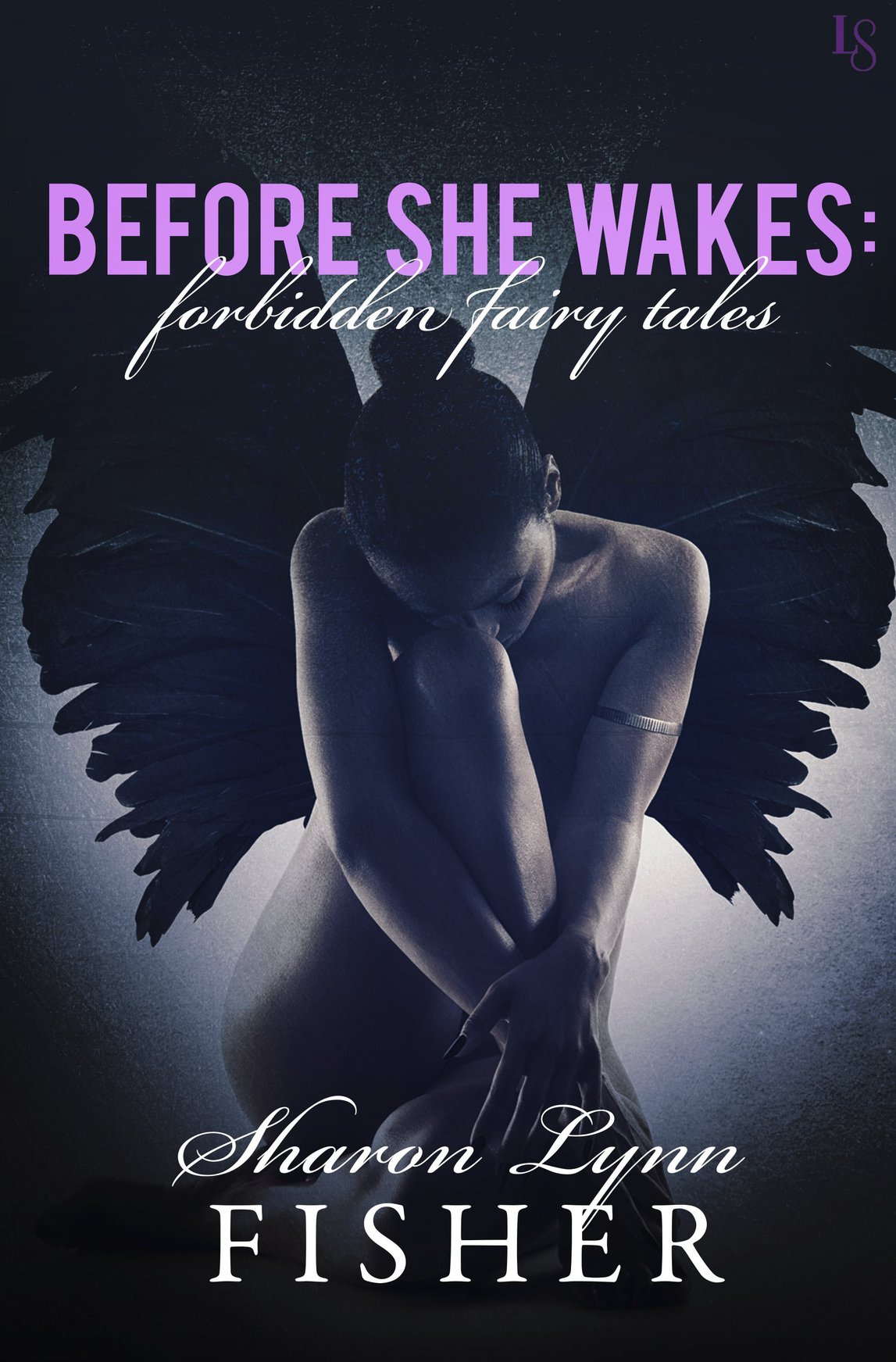 Before She Wakes: Forbidden Fairy Tales (2016) by Sharon Lynn Fisher