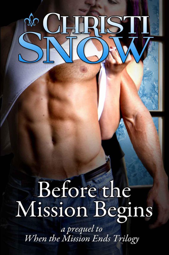 Before the Mission Begins (When The Mission Ends) by Snow, Christi