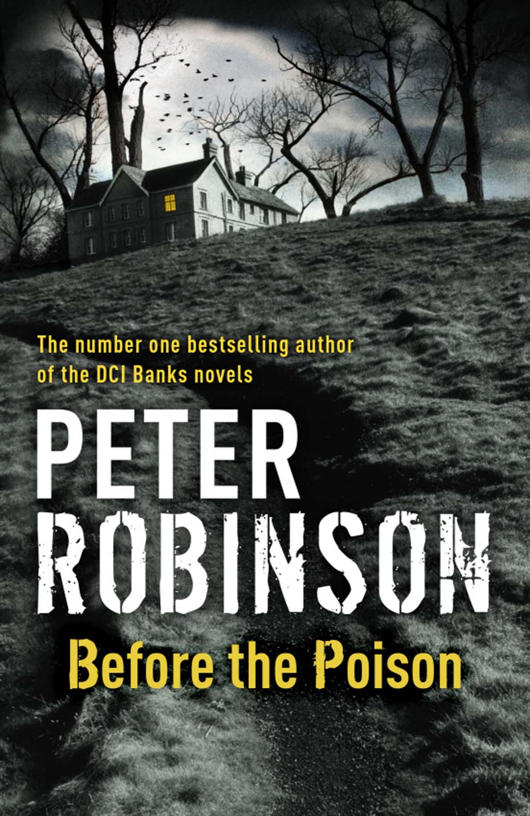 Before the Poison (2011)