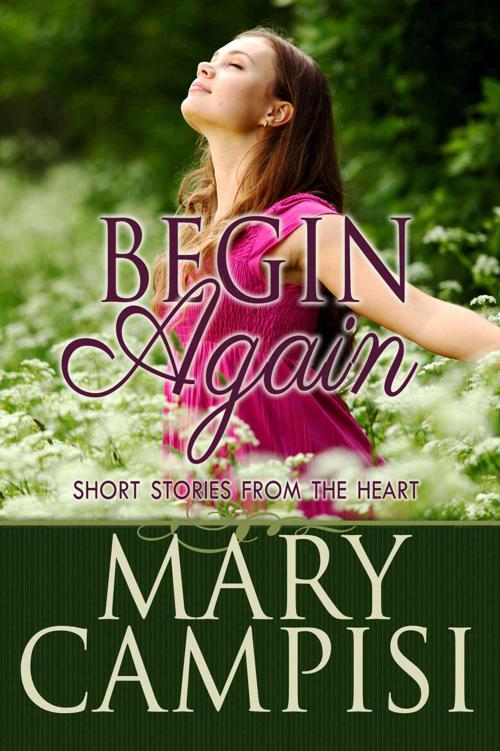 Begin Again: Short stories from the heart by Campisi, Mary